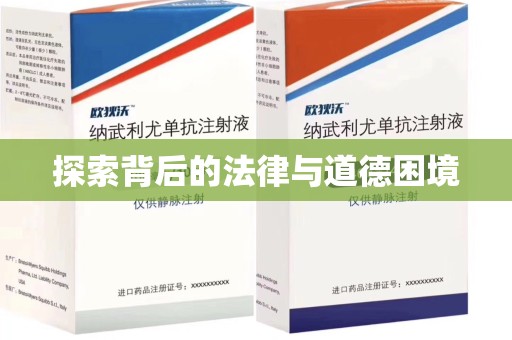咸阳探索背后的法律与道德困境