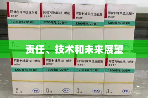 咸阳责任、技术和未来展望