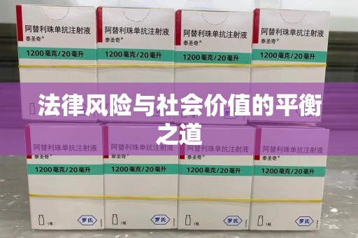 咸阳法律风险与社会价值的平衡之道
