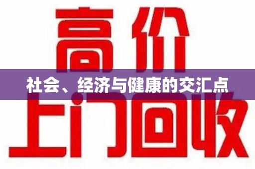 咸阳社会、经济与健康的交汇点