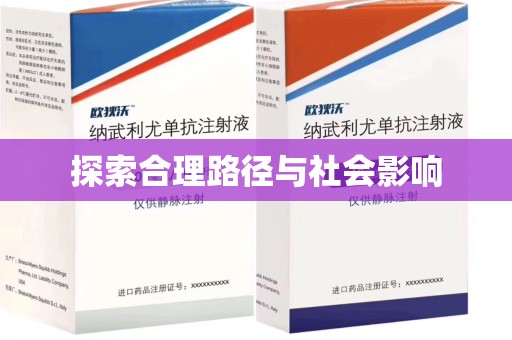 咸阳探索合理路径与社会影响