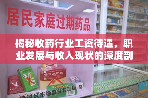 咸阳揭秘收药行业工资待遇，职业发展与收入现状的深度剖析