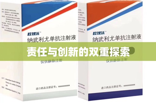 咸阳责任与创新的双重探索