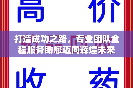 咸阳打造成功之路，专业团队全程服务助您迈向辉煌未来