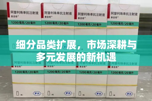咸阳细分品类扩展，市场深耕与多元发展的新机遇