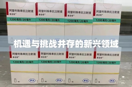 咸阳机遇与挑战并存的新兴领域