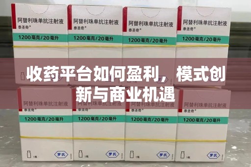 咸阳收药平台如何盈利，模式创新与商业机遇