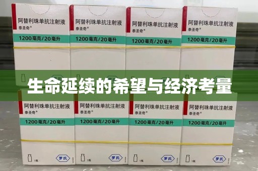 咸阳生命延续的希望与经济考量